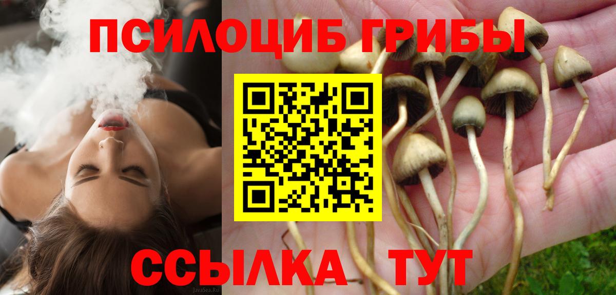 Псилоцибиновые грибы GOLDEN TEACHER  Вход с VPN  Усть-Джегута 