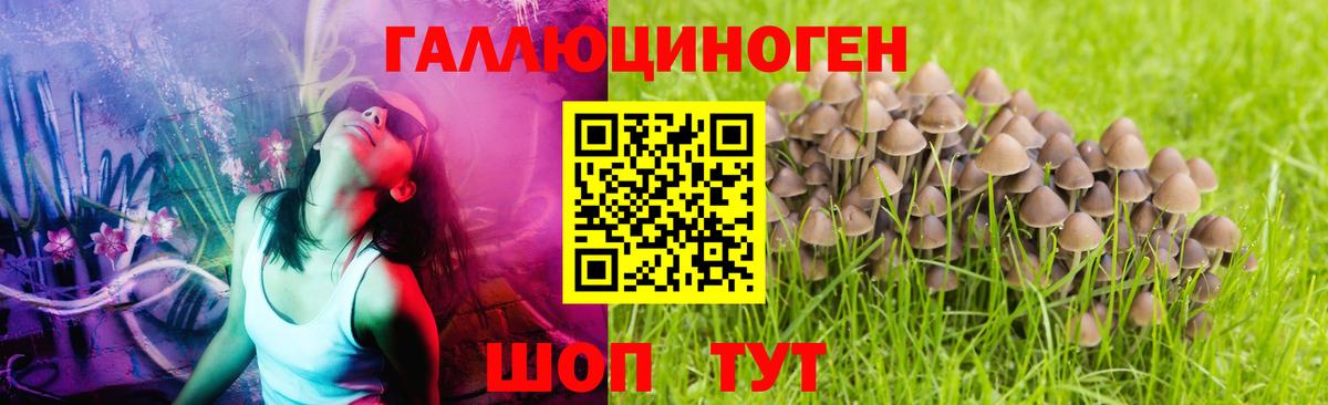 Псилоцибиновые грибы ЛСД Усть-Джегута