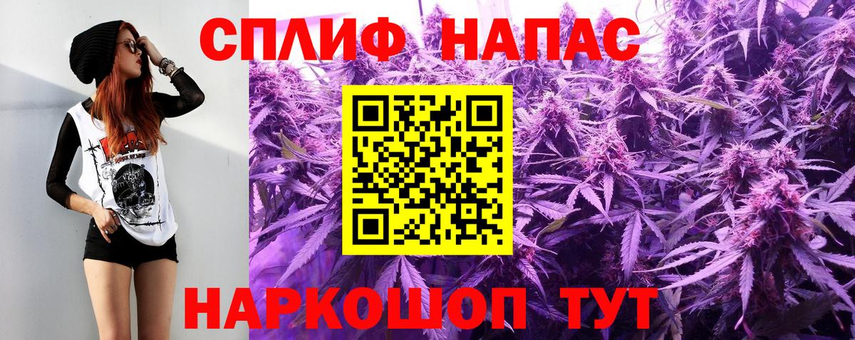 Конопля SATIVA & INDICA Усть-Джегута